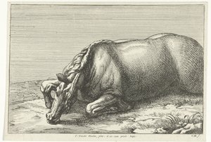 Cavallo ucciso visto dal lato sinistro da Jan van Huchtenburgh